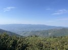 IMG_8662.jpeg