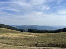 IMG_8663.jpeg