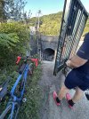 IMG_0243.jpeg