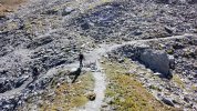 DJI_20250906095322_0007_D_2025-09-07_08-42-02_screenshot.jpg