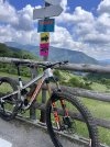 PIVOT FIREBIRD 2024 Carbon 29