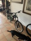 Specialized enduro expert carbon taglia L