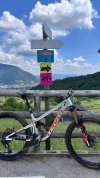 PIVOT FIREBIRD Carbon 29 2024