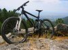 Nerve.jpg