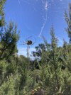 IMG_0402.jpeg