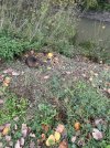 IMG_0648.jpeg