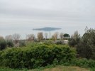 IMG_20251204_104847.jpg