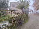 20251210_103909_Poggio dell Corti.jpg