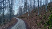 P_20251210_085712.jpg
