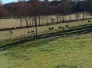 IMG_20251214_130838.jpg