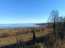 IMG_20251214_133840.jpg