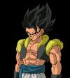 Gogeta_base.jpg