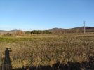 IMG_20260117_154758.jpg