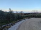 IMG_20260117_161659.jpg