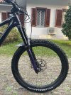 IMG_7310.jpeg