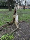 IMG_1344.jpeg