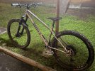 IMG_7176.jpeg