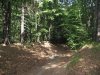 Bike-Park Pievepelago_05.jpg