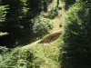 Bike-Park Pievepelago_08.jpg
