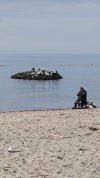 IMG_20260227_101329.jpg