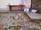 IMG_20171028_093739.jpg