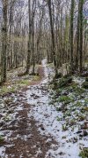 IMG_20260327_112019.jpg