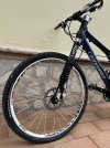 IMG_1531 (1).jpeg
