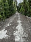 IMG_1708.jpeg