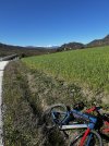 IMG_1743.jpeg