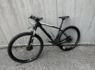 IMG_8947.jpeg