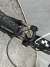 IMG_8950.jpeg