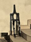IMG_7237.jpeg