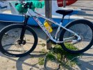 cedesi carraro modello donna mai usata