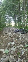 20260512_190252.jpg
