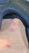 IMG_20260531_101428.jpg