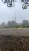 IMG_20260603_092256.jpg