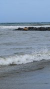 IMG_20260611_102718.jpg