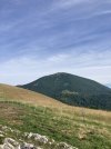 IMG_6703.jpeg