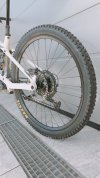 orbea wild fox kashima bosch gen5.jpeg