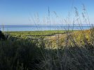 IMG_3436.jpeg