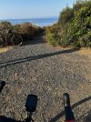 IMG_3437.jpeg