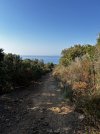 IMG_3439.jpeg