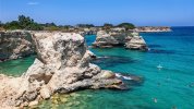 IMG_20260630_121424.jpg
