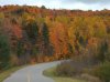 gatineau parkway.jpg