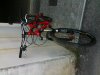 IMG_0207.jpg