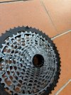 IMG_3168.jpeg
