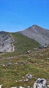 IMG_20260716_124243.jpg
