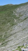IMG_20260716_120450.jpg