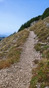 IMG_20260721_110835.jpg