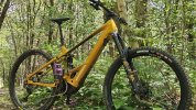 Vendo Orbea Wild H10 pari al nuovo